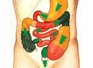 Virechana – Purgative Therapy (DETOX)